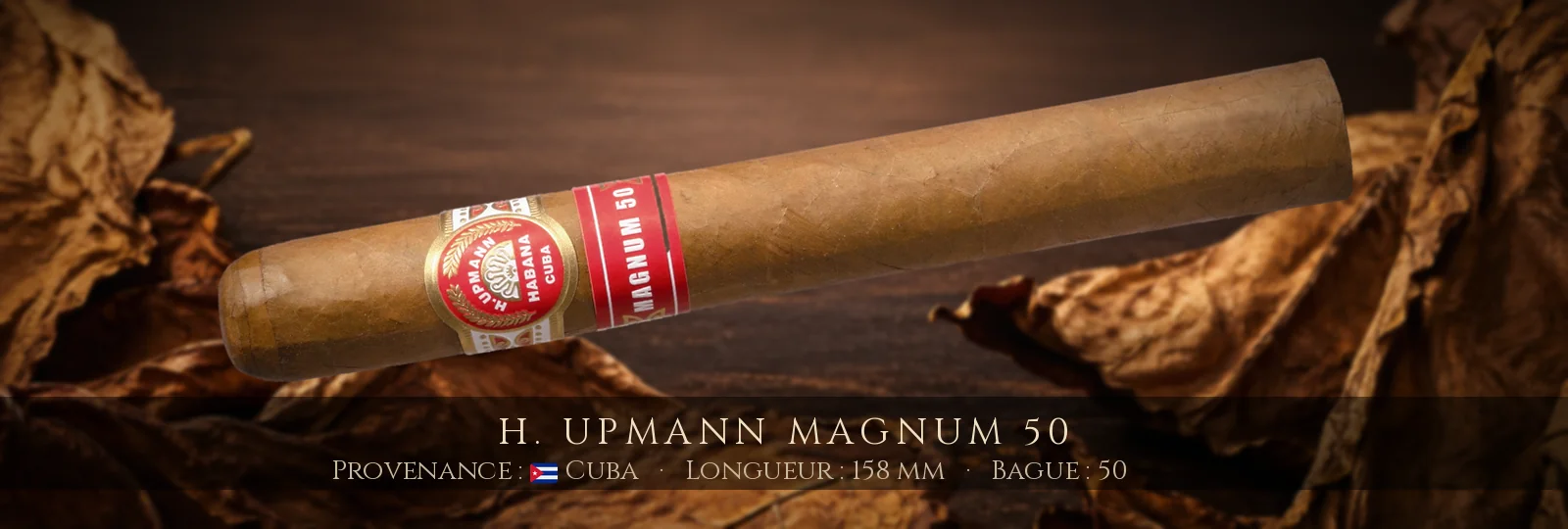 H. Upmann Magnum 50