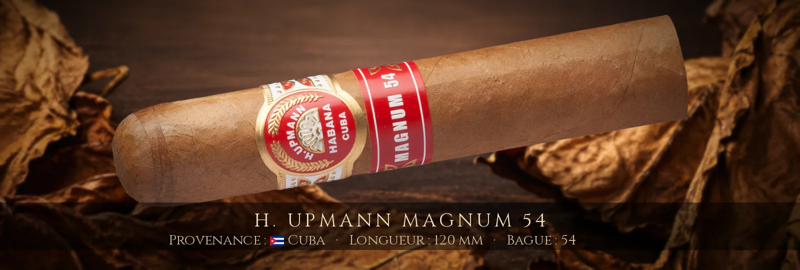 H. Upmann Magnum 54 — H. Upmann — Cuba