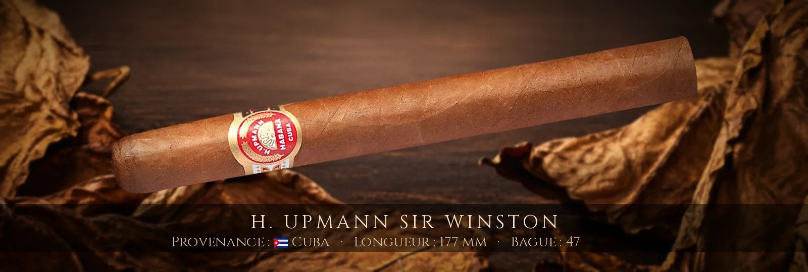 H. Upmann Sir Winston