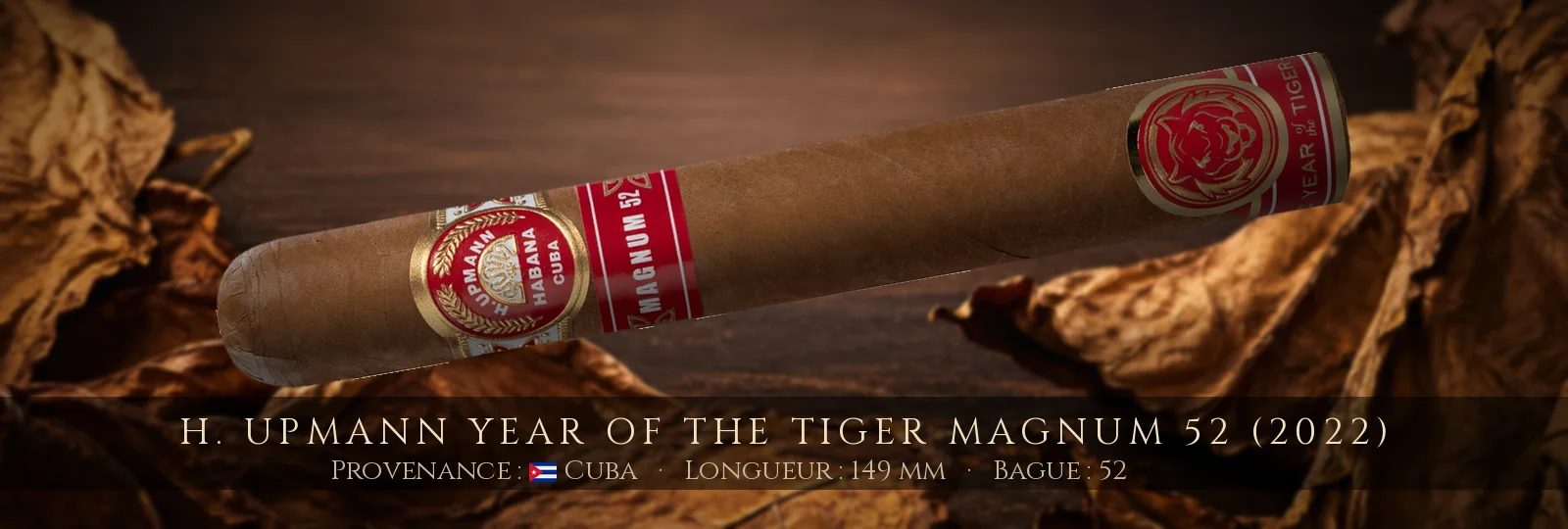 H. Upmann Year Of The Tiger Magnum 52 (2022) — H. Upmann — Cuba