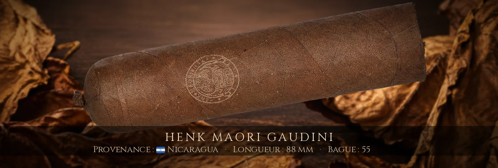 Henk Maori Gaudini — Henk — Nicaragua