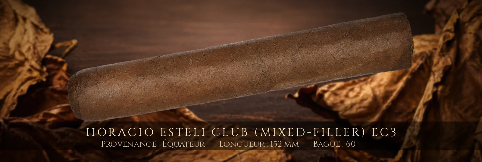 Horacio Esteli Club (Mixed-Filler) EC3 — Horacio — Équateur