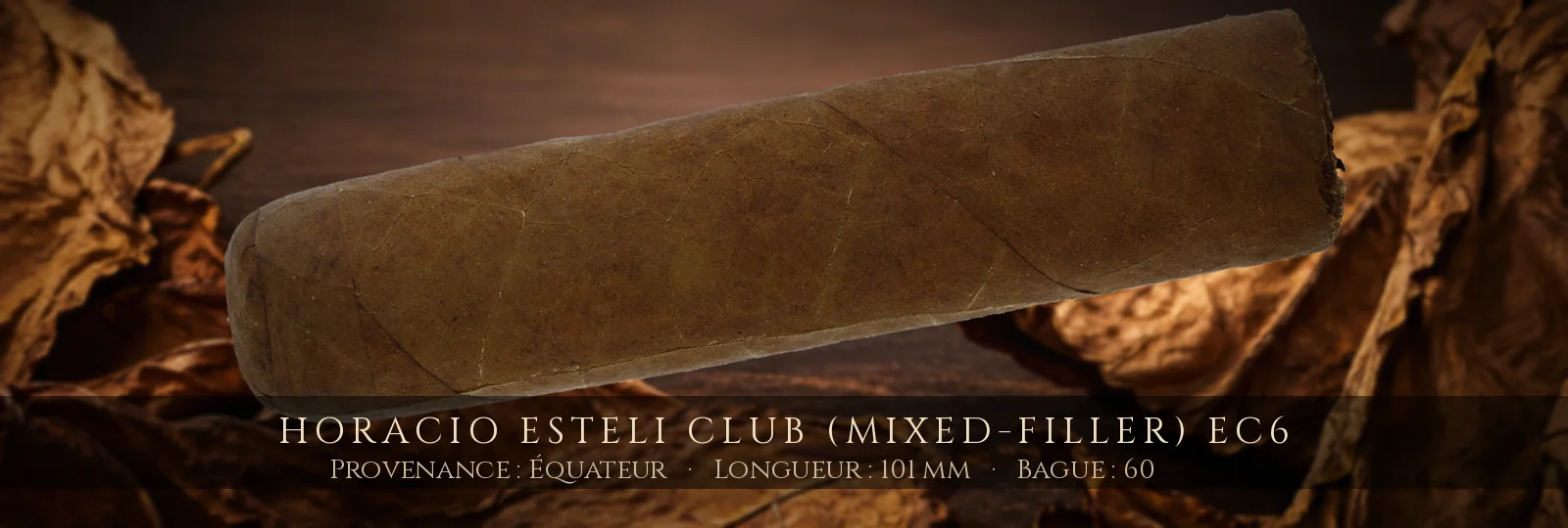 Horacio Esteli Club (Mixed-Filler) EC6 — Horacio — Équateur