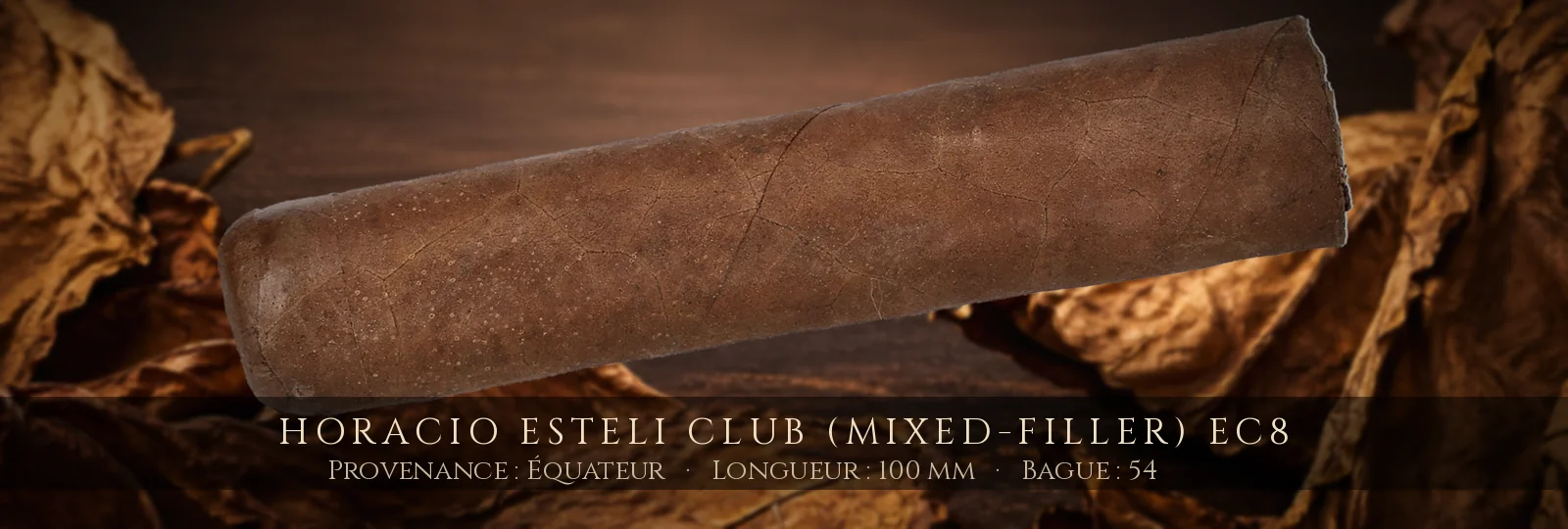 Horacio Esteli Club (Mixed-Filler) EC8 — Horacio — Équateur