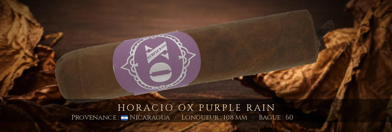 Horacio OX Purple Rain — Horacio — Nicaragua