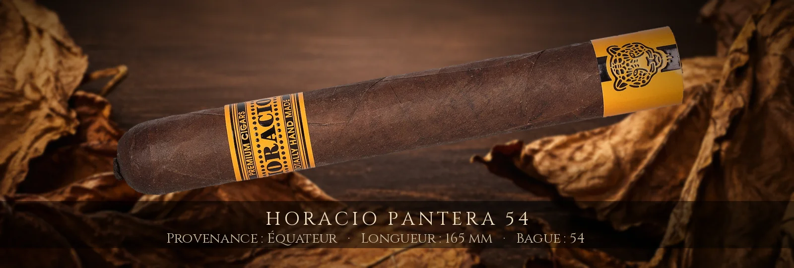 Horacio Pantera 54 — Horacio — Équateur