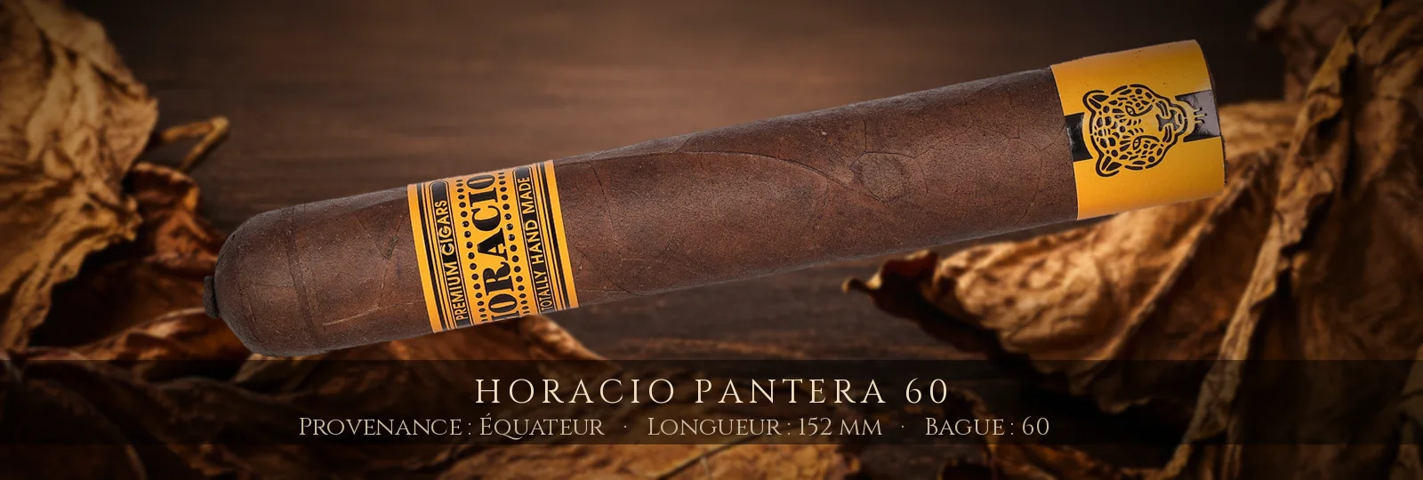 Horacio Pantera 60 — Horacio — Équateur