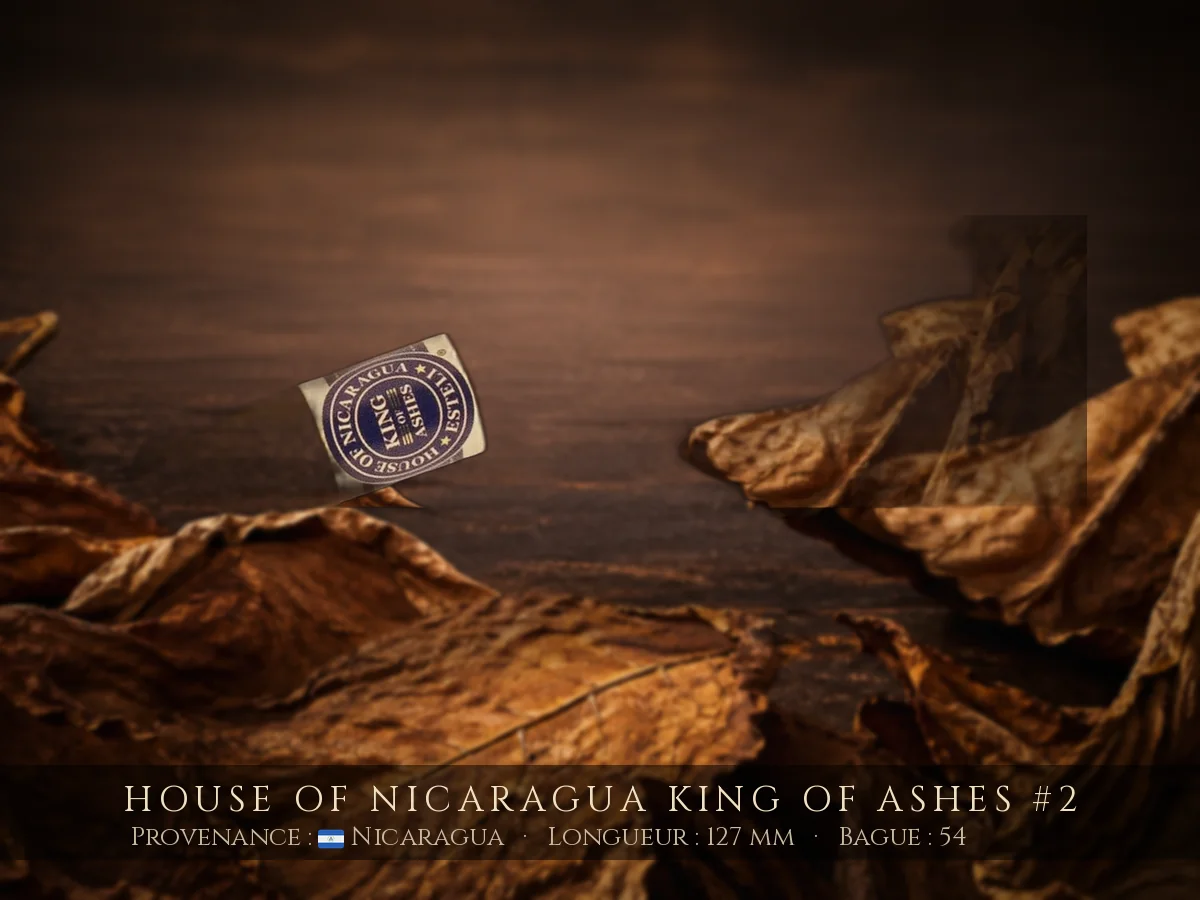 House of Nicaragua King of Ashes #2 — House of Nicaragua — Nicaragua