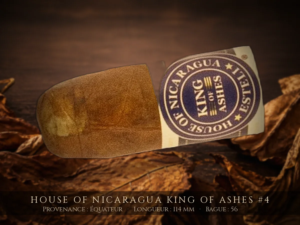 House of Nicaragua King of Ashes #4 — House of Nicaragua — Équateur