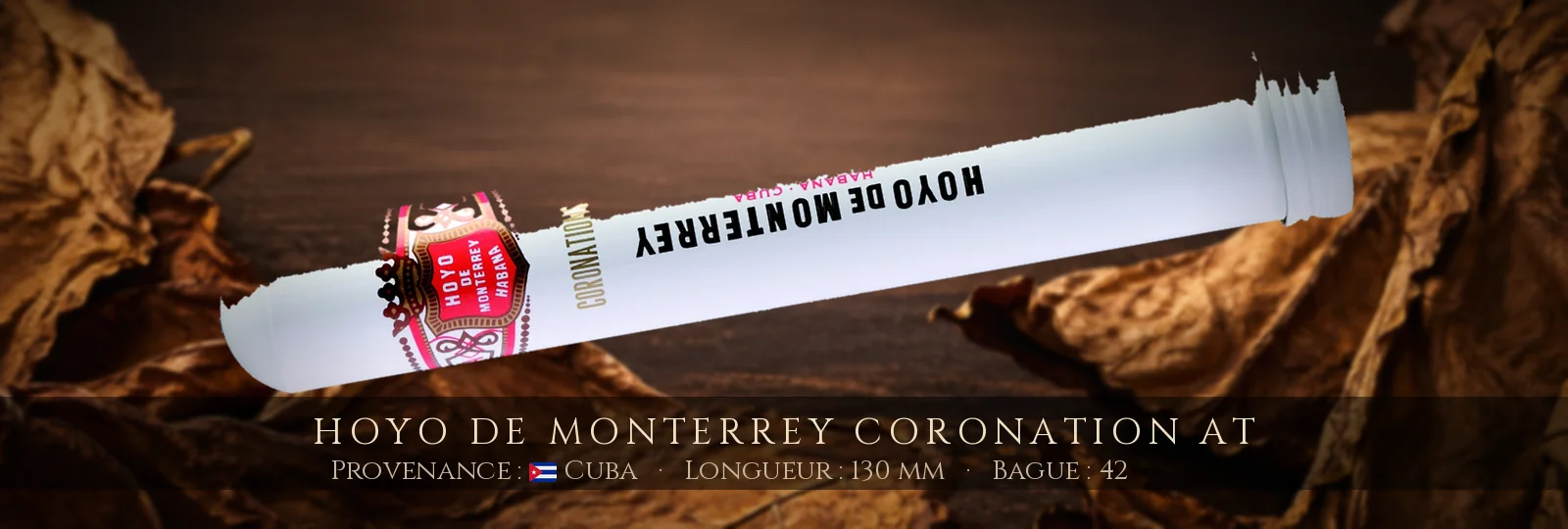 Hoyo de Monterrey Coronation AT