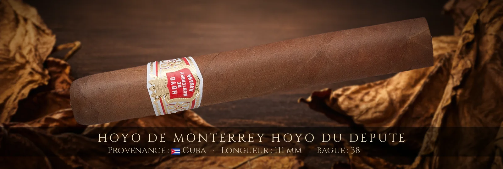 Hoyo de Monterrey Hoyo Du Depute — Hoyo de Monterrey — Cuba