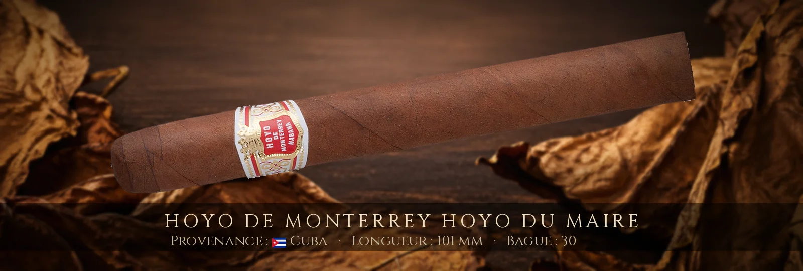 Hoyo de Monterrey Hoyo Du Maire — Hoyo de Monterrey — Cuba