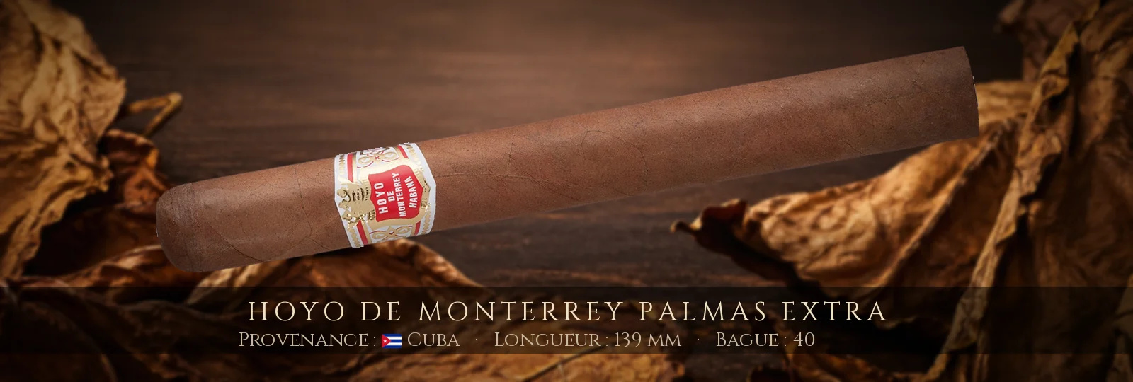Hoyo de Monterrey Palmas Extra — Hoyo de Monterrey — Cuba