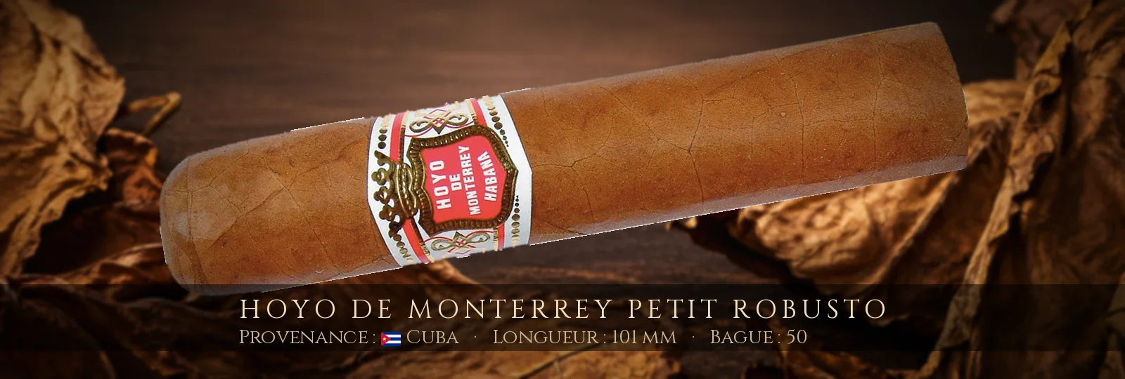 Hoyo de Monterrey Petit Robusto — Hoyo de Monterrey — Cuba