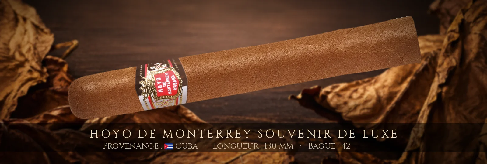 Hoyo de Monterrey Souvenir de Luxe — Hoyo de Monterrey — Cuba