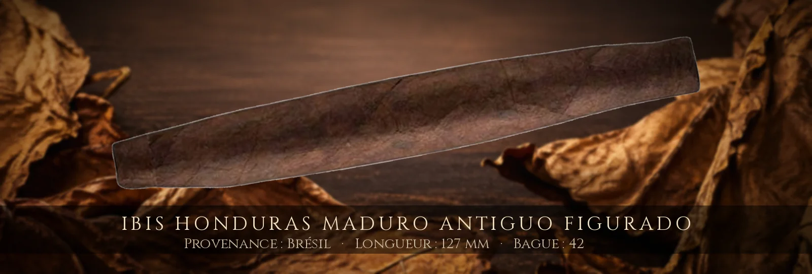 Ibis Honduras Maduro Antiguo Figurado — Ibis — Brésil
