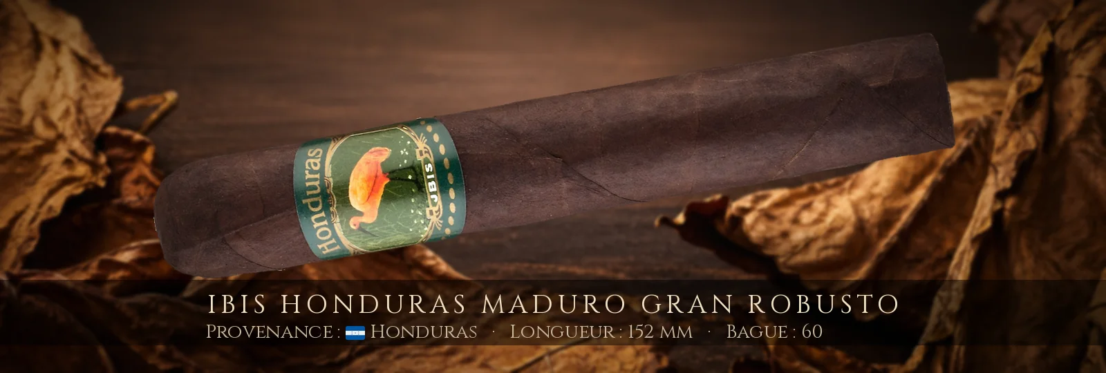 Ibis Honduras Maduro Gran Robusto — Ibis — Honduras