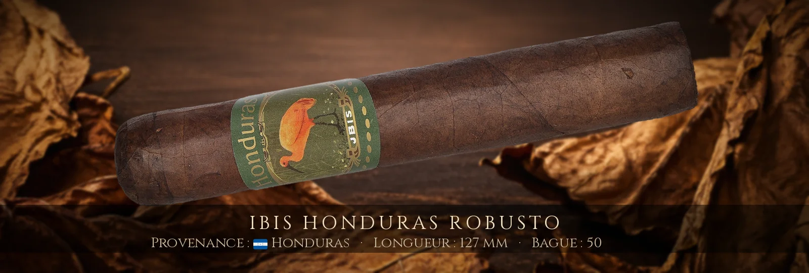 Ibis Honduras Robusto — Ibis — Honduras