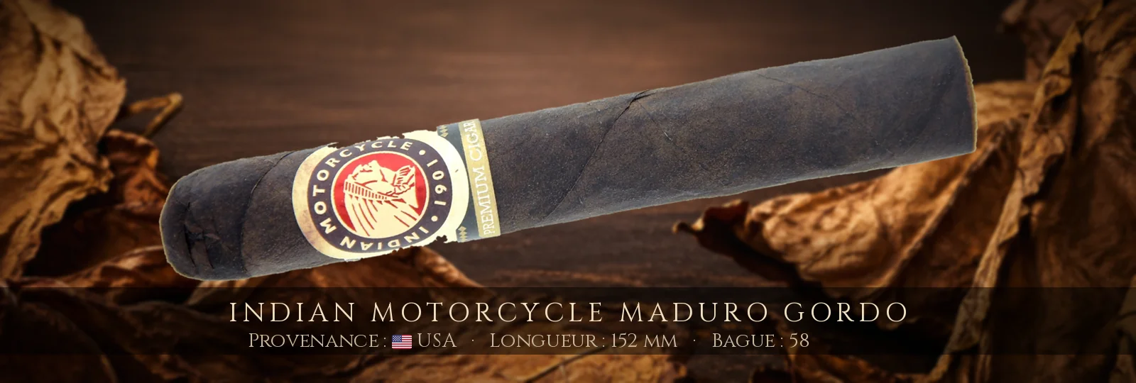 Indian Motorcycle Maduro Gordo — Indian Motorcycle — USA