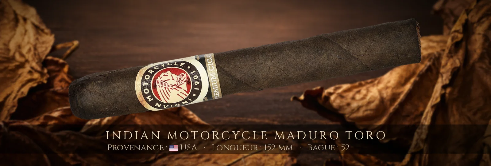 Indian Motorcycle Maduro Toro — Indian Motorcycle — USA