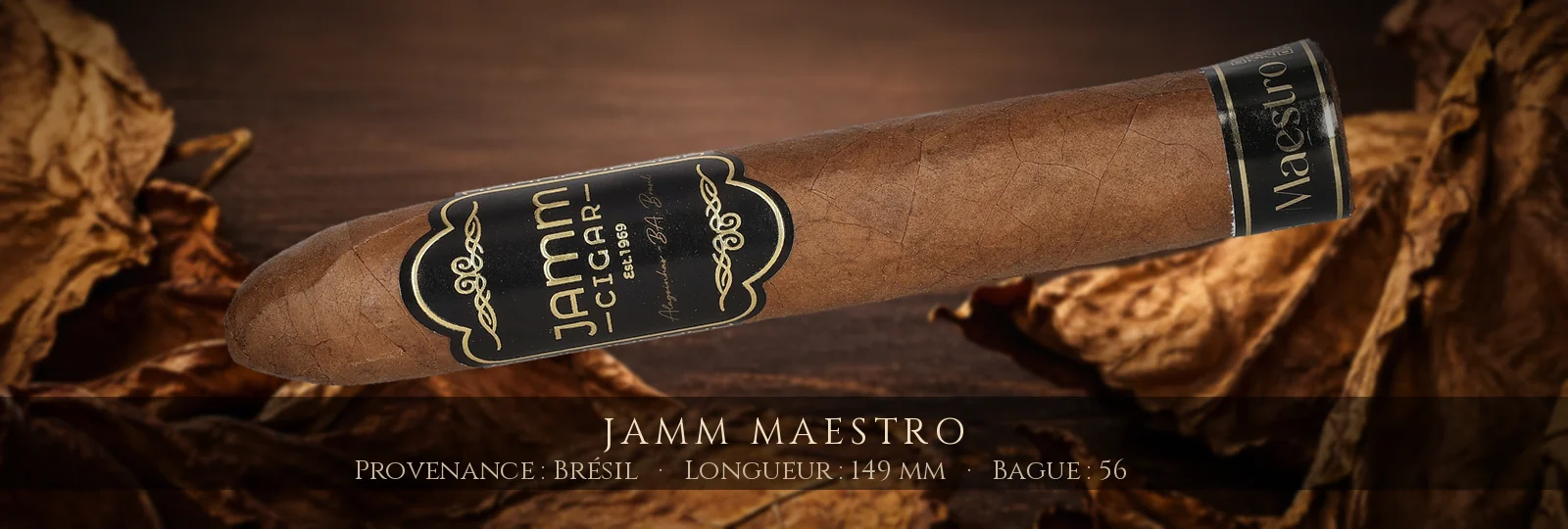 Jamm Maestro — Jamm — Brésil