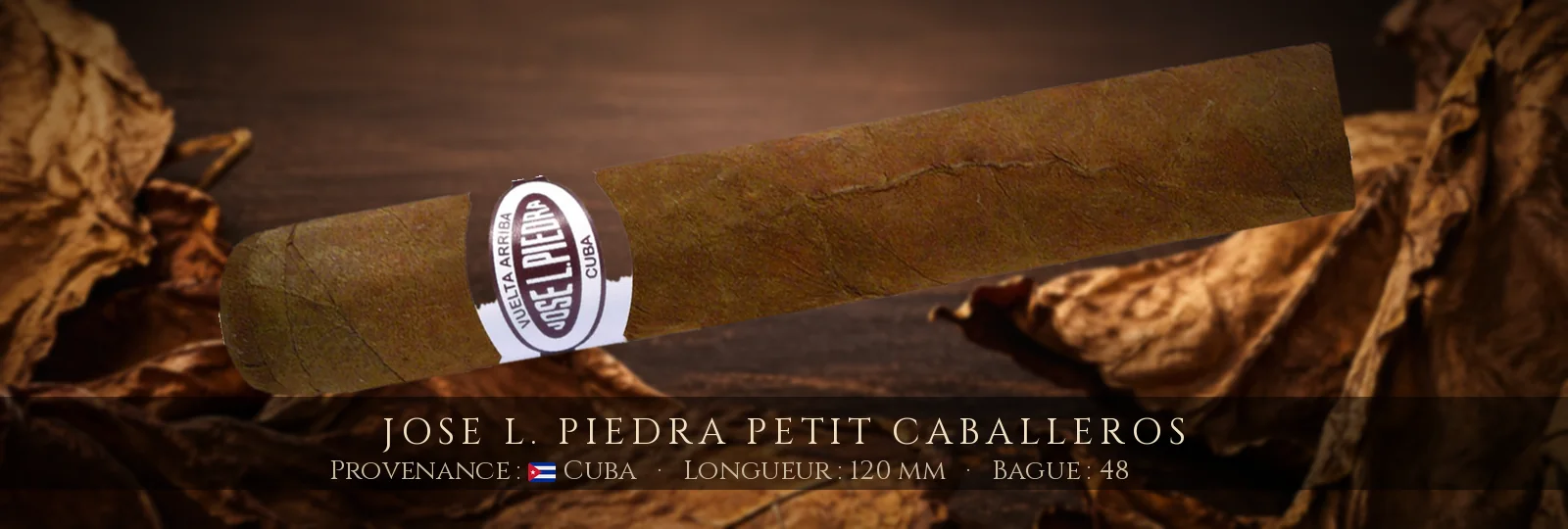 Jose L. Piedra Petit Caballeros — Jose L. Piedra — Cuba