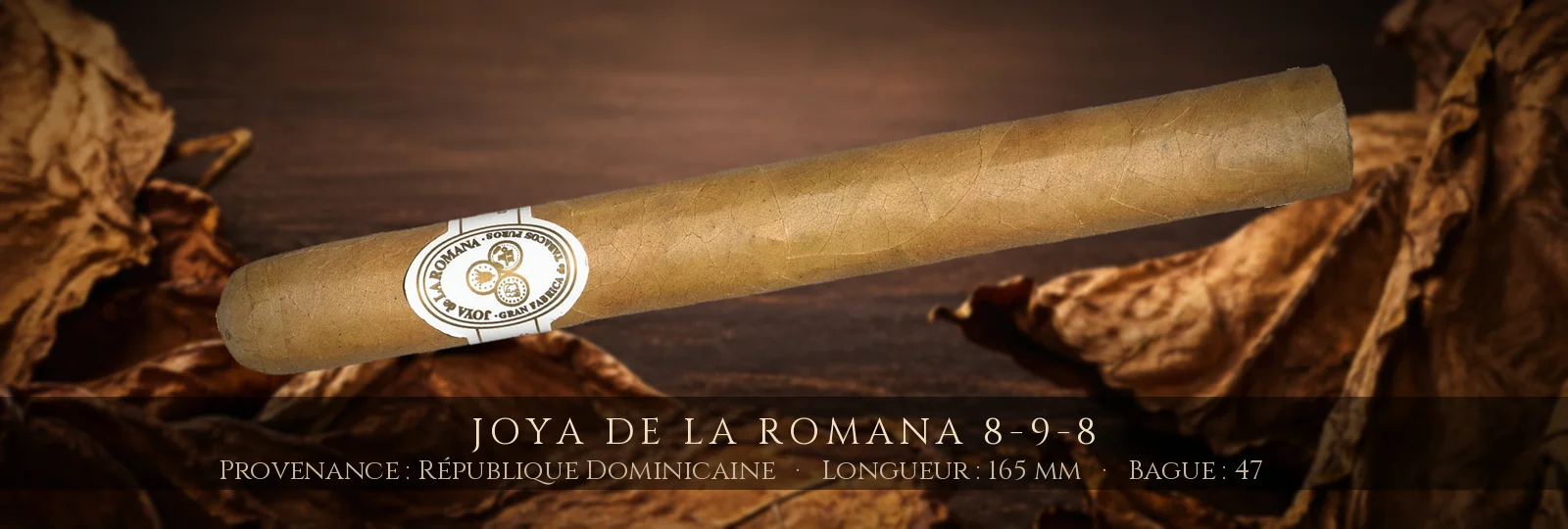 Joya de la Romana 8-9-8