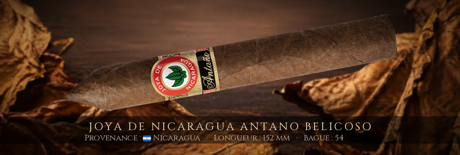 Joya de Nicaragua Antano Belicoso — Joya de Nicaragua — Nicaragua