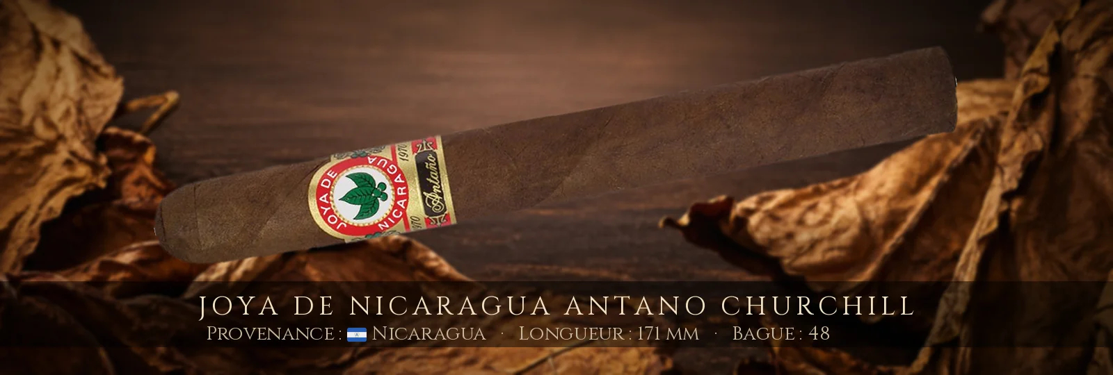 Joya de Nicaragua Antano Churchill