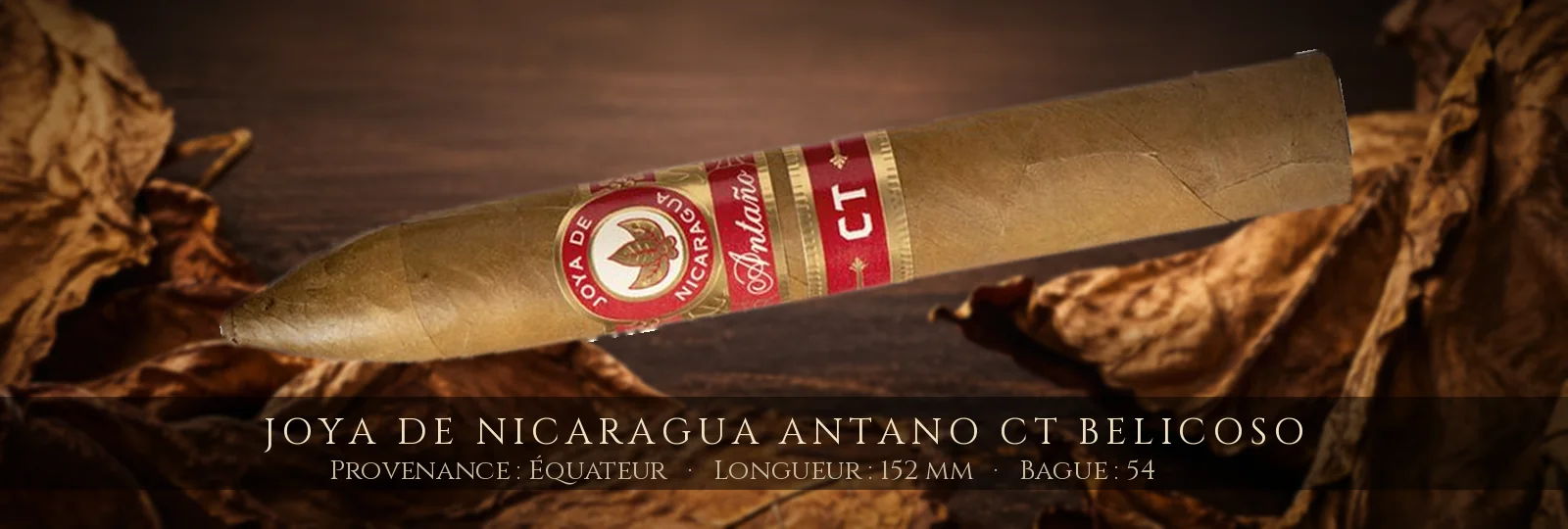 Joya de Nicaragua Antano CT Belicoso — Joya de Nicaragua — Équateur