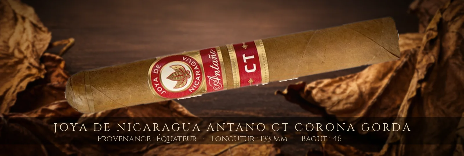Joya de Nicaragua Antano CT Corona Gorda — Joya de Nicaragua — Équateur