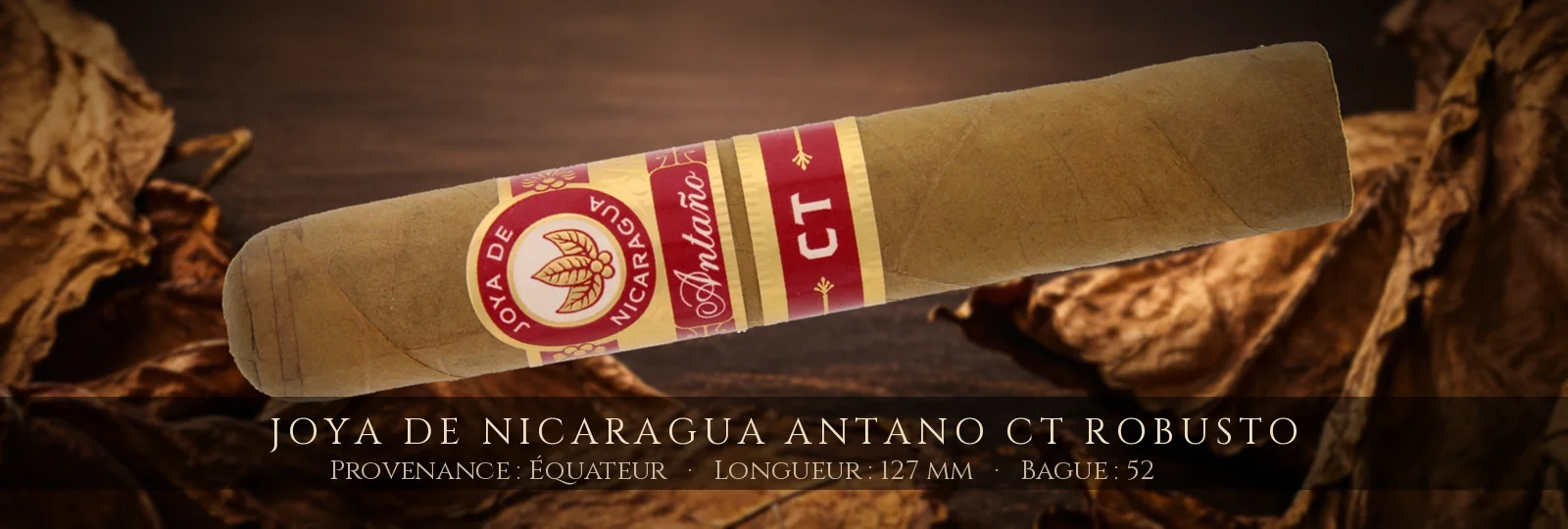 Joya de Nicaragua Antano CT Robusto