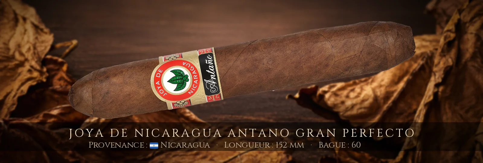 Joya de Nicaragua Antano Gran Perfecto — Joya de Nicaragua — Nicaragua