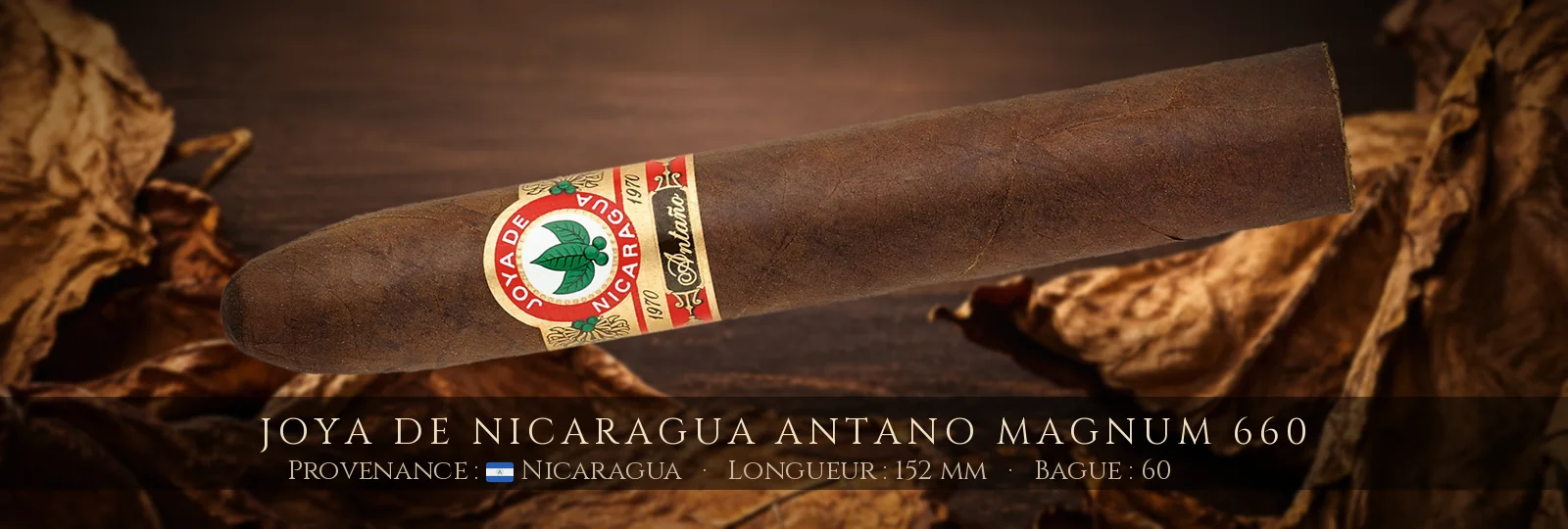 Joya de Nicaragua Antano Magnum 660 — Joya de Nicaragua — Nicaragua