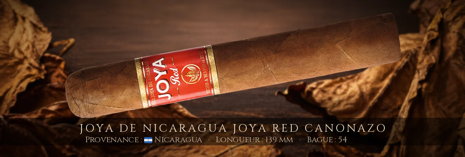 Joya de Nicaragua Joya Red Canonazo — Joya de Nicaragua — Nicaragua