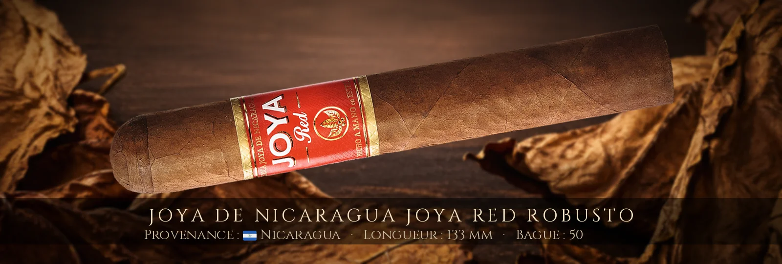 Joya de Nicaragua Joya Red Robusto — Joya de Nicaragua — Nicaragua