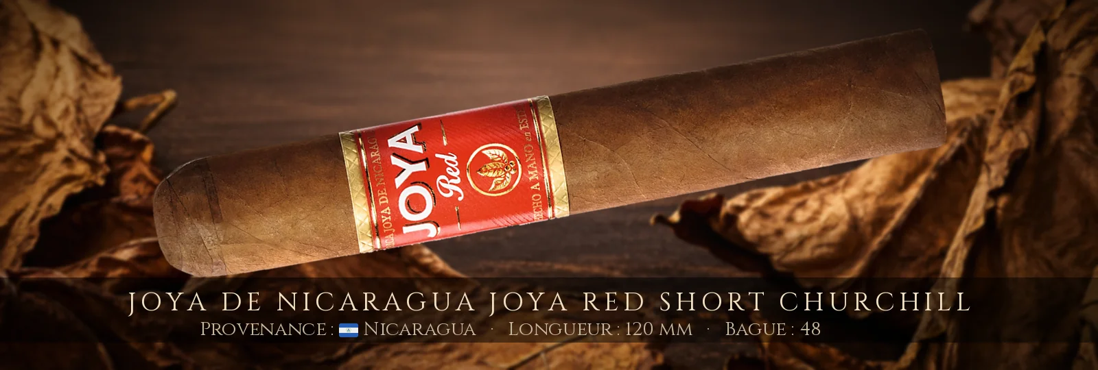 Joya de Nicaragua Joya Red Short Churchill — Joya de Nicaragua — Nicaragua