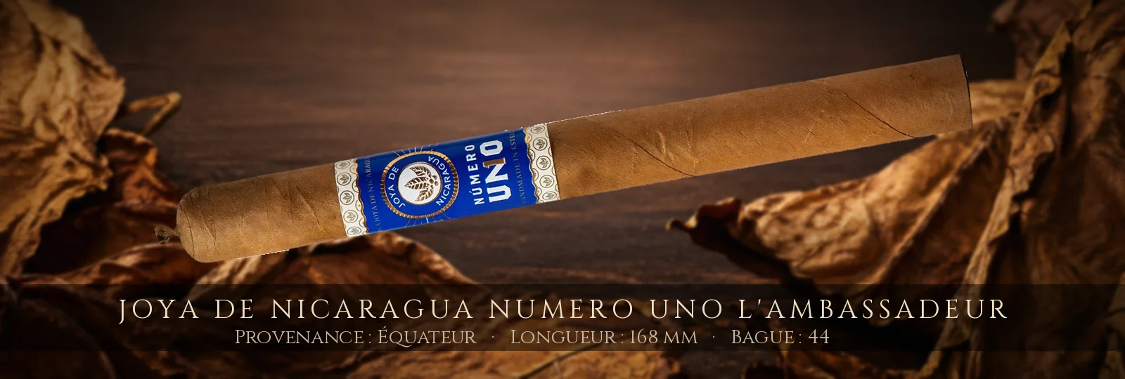 Joya de Nicaragua Numero Uno L'Ambassadeur — Joya de Nicaragua — Équateur