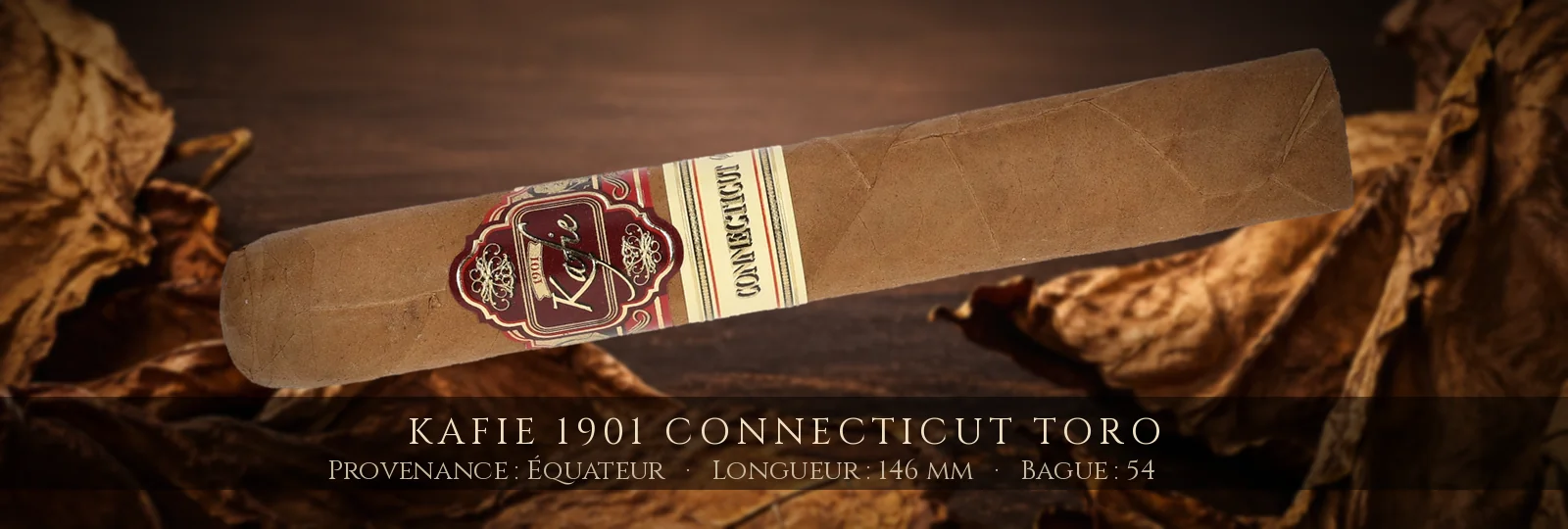 Kafie 1901 Connecticut Toro — Kafie 1901 — Équateur