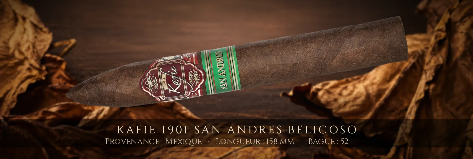 Kafie 1901 San Andres Belicoso — Kafie 1901 — Mexique