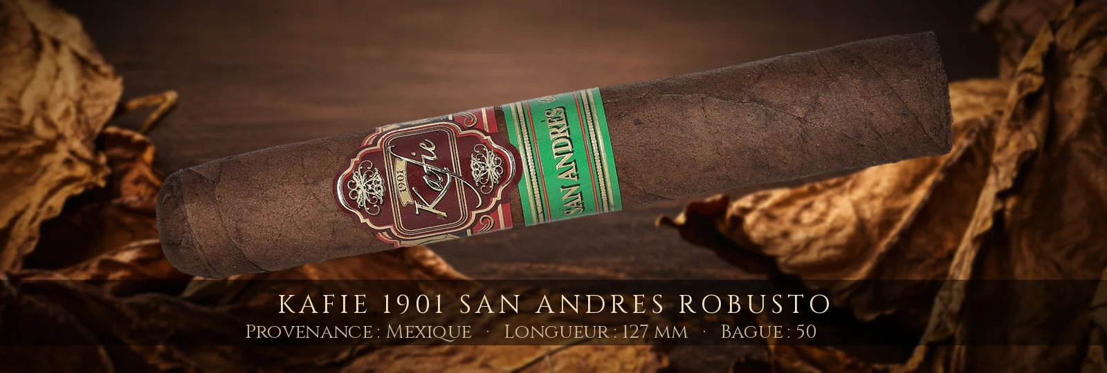 Kafie 1901 San Andres Robusto — Kafie 1901 — Mexique