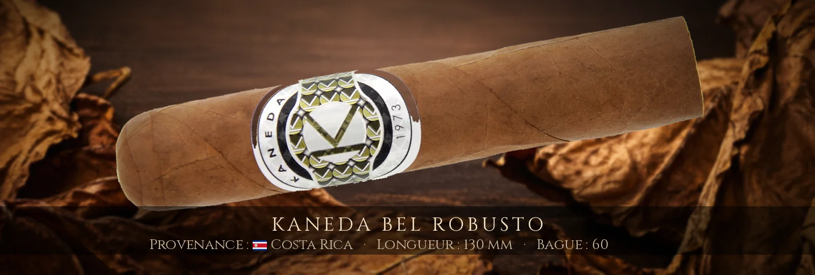 Kaneda Bel Robusto