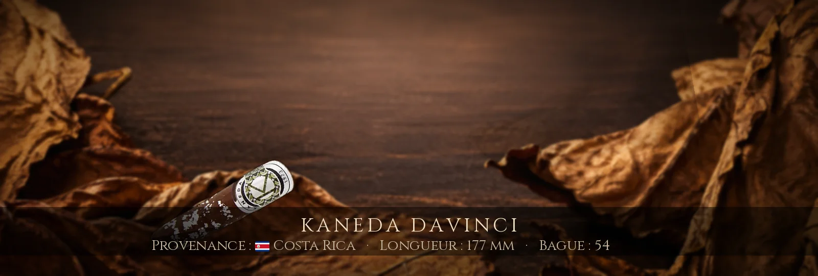 Kaneda Davinci — Kaneda — Costa Rica