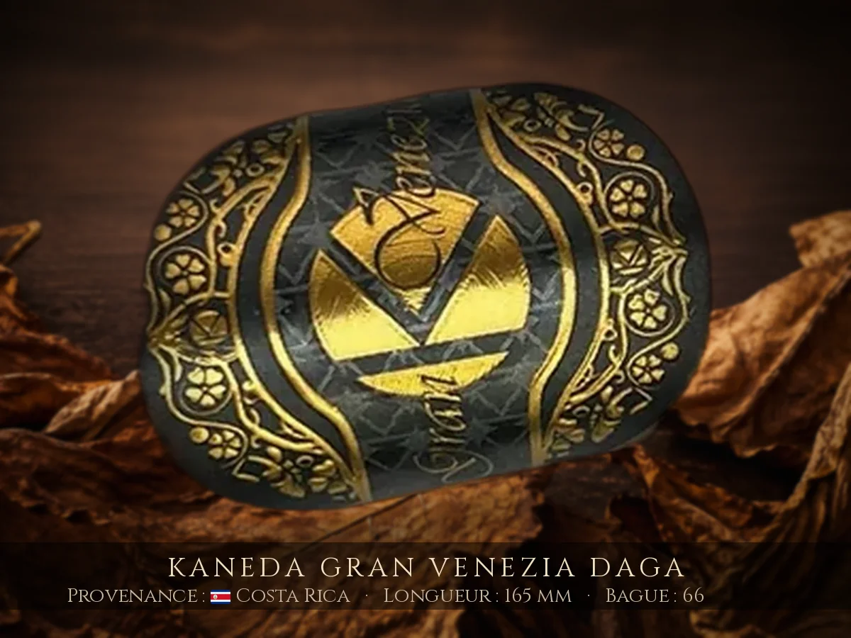 Kaneda Gran Venezia Daga — Kaneda — Costa Rica