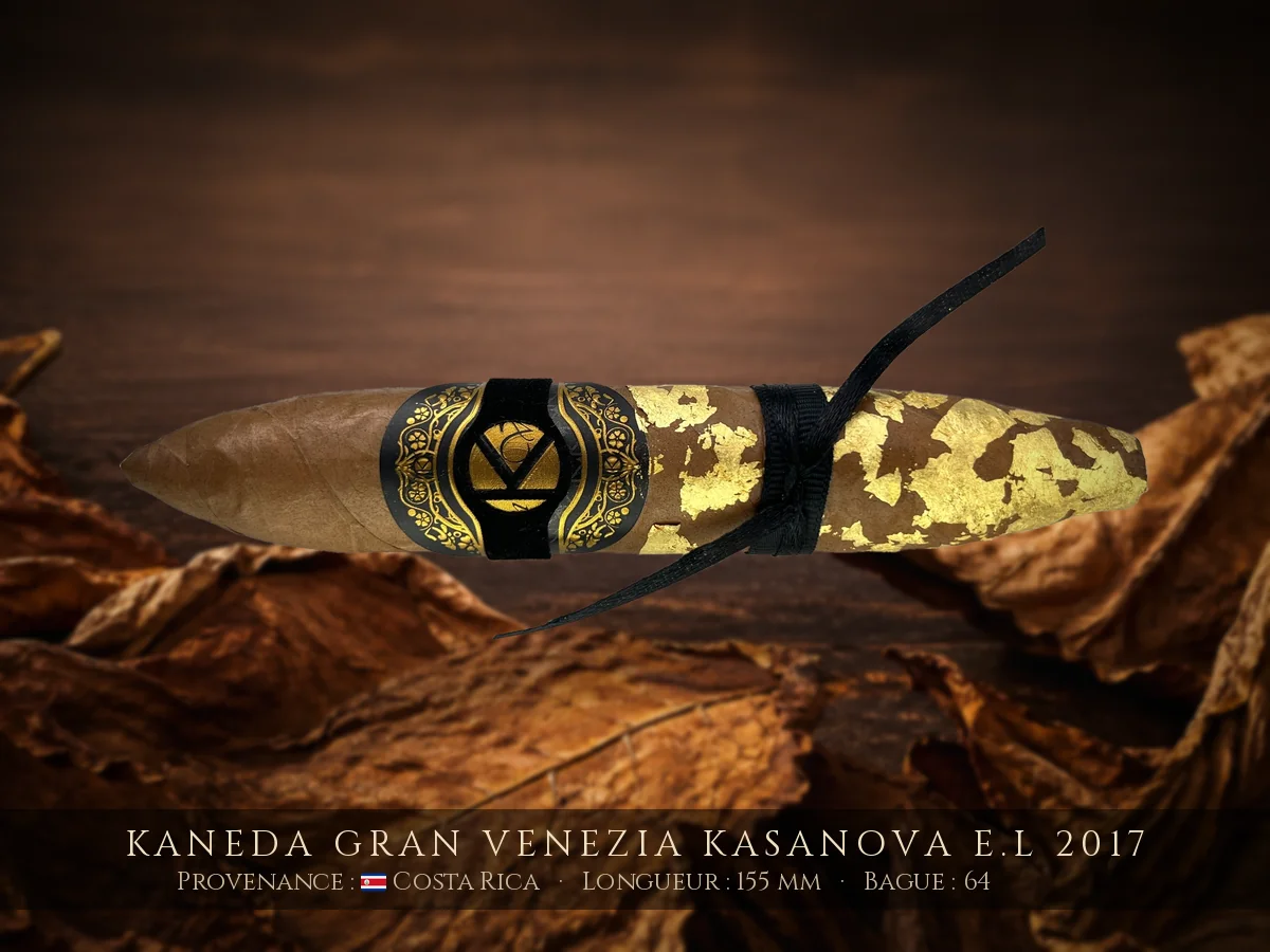 Kaneda Gran Venezia Kasanova E.L 2017 — Kaneda — Costa Rica