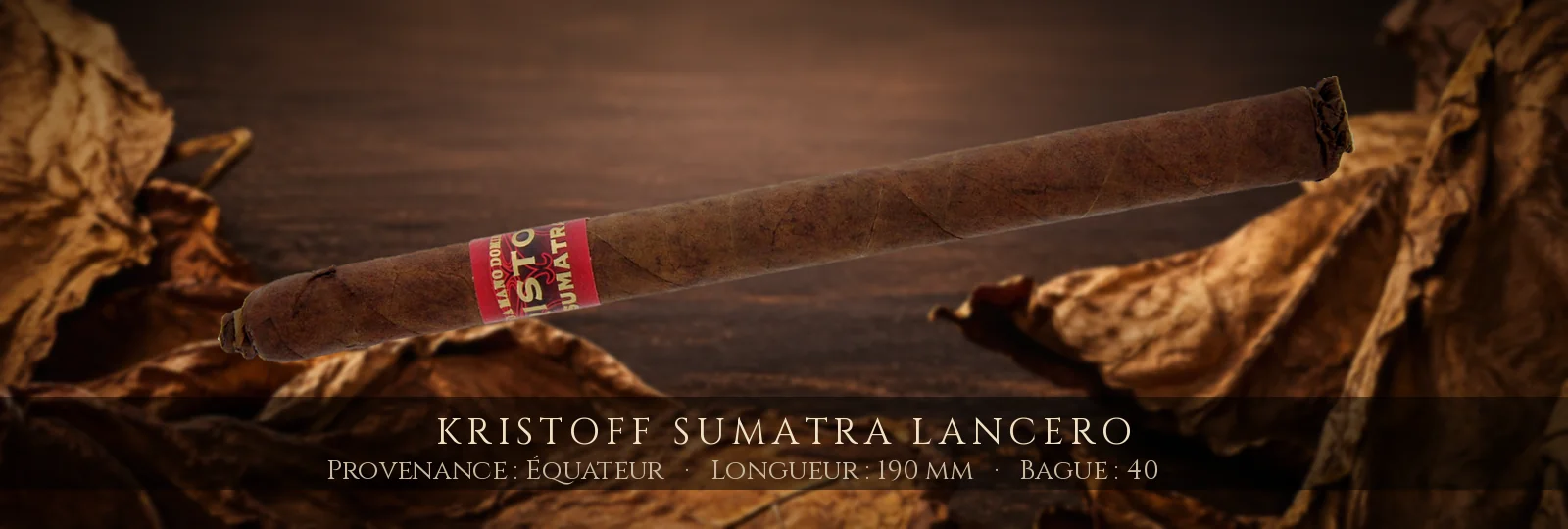 Kristoff Sumatra Lancero — Kristoff — Équateur