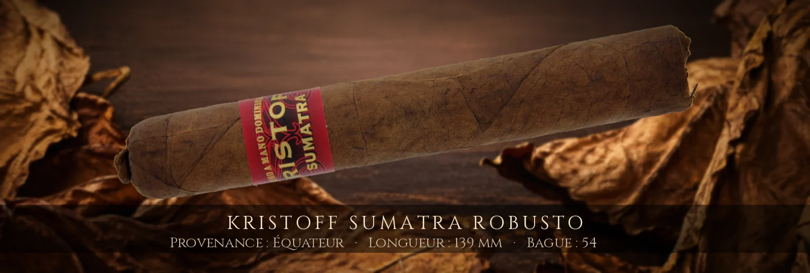 Kristoff Sumatra Robusto — Kristoff — Équateur