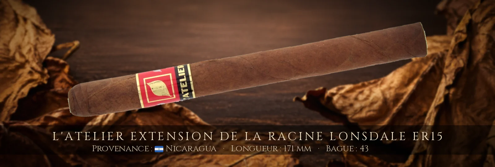 L'Atelier Extension de la Racine Lonsdale ER15 — L'Atelier — Nicaragua