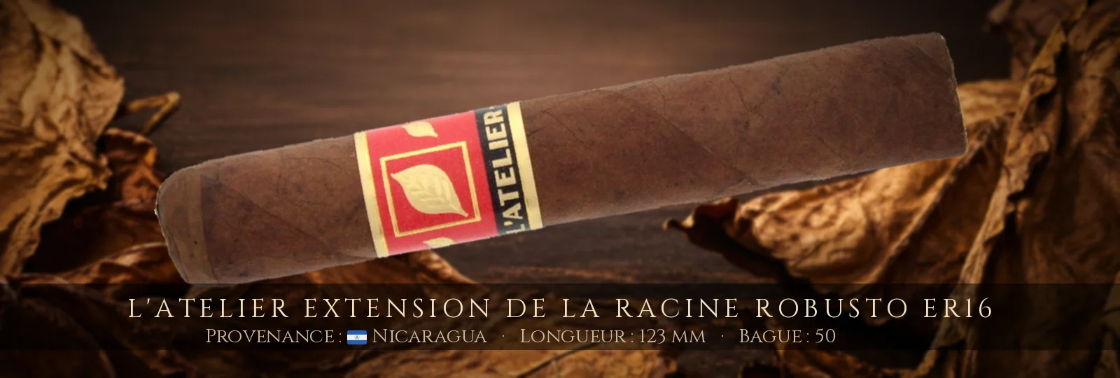 L'Atelier Extension de la Racine Robusto ER16 — L'Atelier — Nicaragua