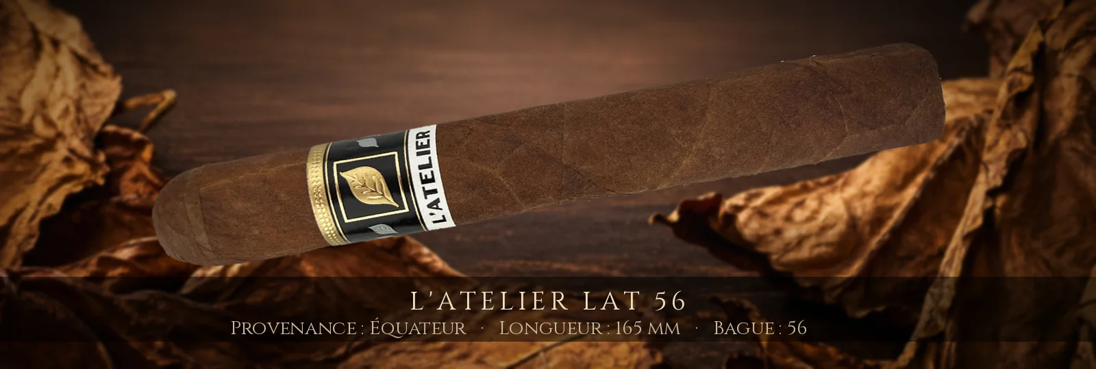 L'Atelier LAT 56 — L'Atelier — Équateur